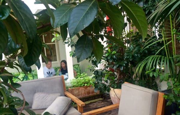 Praktik Garden by null