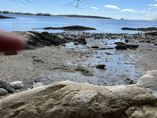 Wolfe's Neck Woods State Park by null