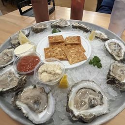 Oysters Oysters
