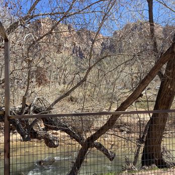 Cable Mountain Lodge - View from our hotel next to the Virgin river. - Hotels Near Me - Springdale, Utah