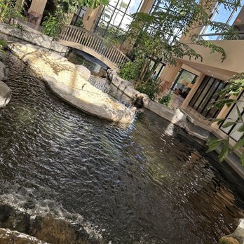 Embassy Suites by Hilton Boca Raton - Hotels Near Me - Boca Raton, Florida Embassy Suites by Hilton Boca Raton - Hotels Near Me - Boca Raton, Florida