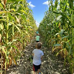 Waldvogel's Farm Market