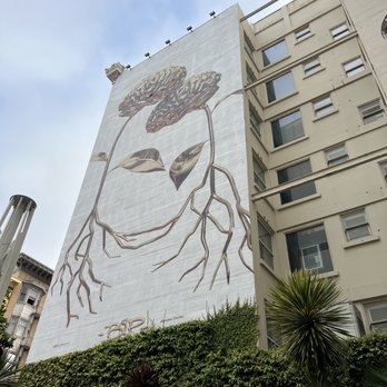 620 Jones - Outside decor - New American Near Me - San Francisco, California