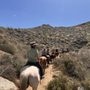 Photo of Smoke Tree Stables