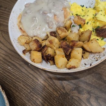First Watch - Breakfast & Brunch Near Me - North Port, Florida First Watch - Breakfast & Brunch Near Me - North Port, Florida