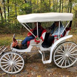 Daffodil Hill Farm & Carriage
