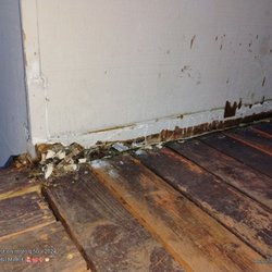 Rodman Realty - The outside of the building looks like this on the second floor landing by the stairs