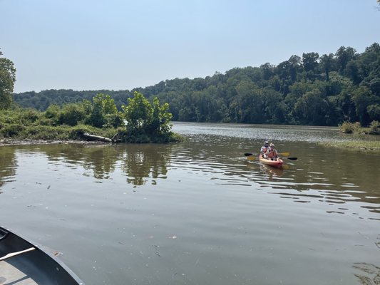 Boating In DC at Fletcher's Cove by null