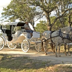 Dale River Ranch - Find your fairy tale with our horse-drawn carriage...
