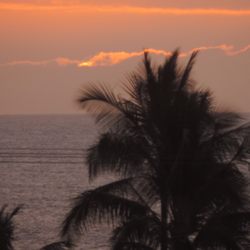 Vacation Rentals in Kona - Kona Sunset