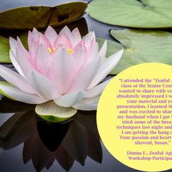 Zenful Aging Review
