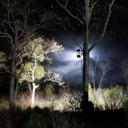 Cryptid Trails