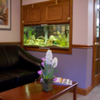 Jeanette Y Son, DMD - General Dentistry Near Me - Wilmington, Delaware Jeanette Y Son, DMD - General Dentistry Near Me - Wilmington, Delaware
