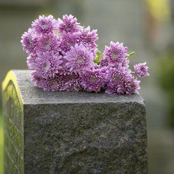 Anderson Goodale Memorial Homes - untitled