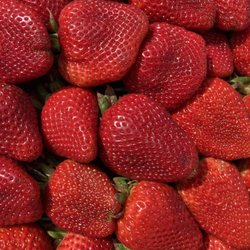 Oldtown Farmer's Market