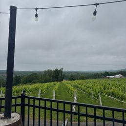 Vineyard Vineyard