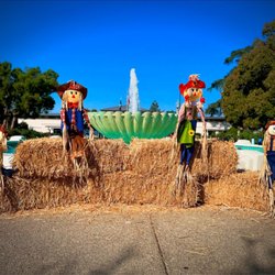 Monrovia Library Park - Loving all the adorable fall decorations!! (October 2024)