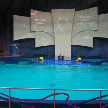 Dolfinarium - Dolphin show - Aquariums Near Me - Harderwijk, GE