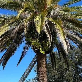 Baker Tree Care - Tree Services Near Me Baker Tree Care - Tree Services Near Me
