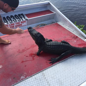 Airboat Adventures - A three legged female gator looking for a snack! - Boat Tours Near Me - Lafitte, Louisiana