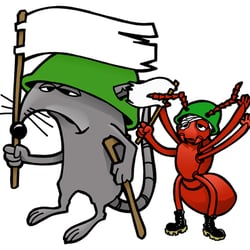 Accurate Termite & Pest Solutions