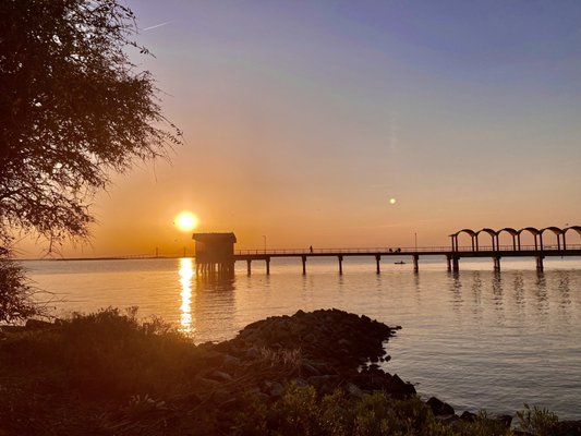 Jekyll Island by null
