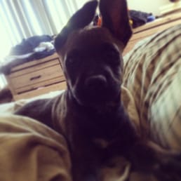 Meet Mia! Meet Mia!