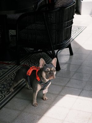 The Alkaff Mansion by null