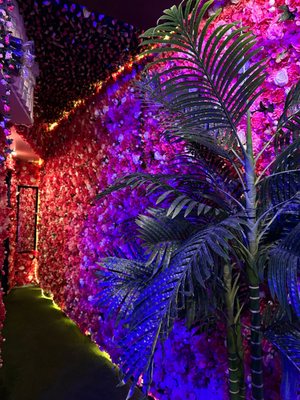 Octopus Kitchen & Hookah by null