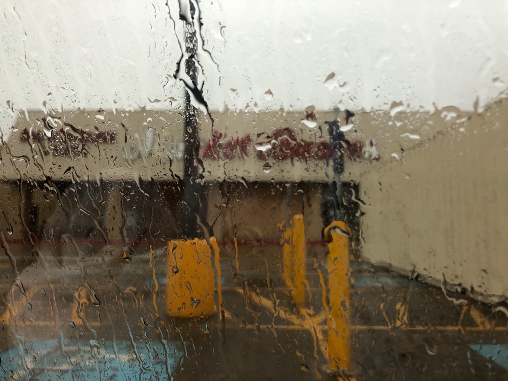 MARKET BASKET FOOD STORES Updated September 2024 17 Photos & 20