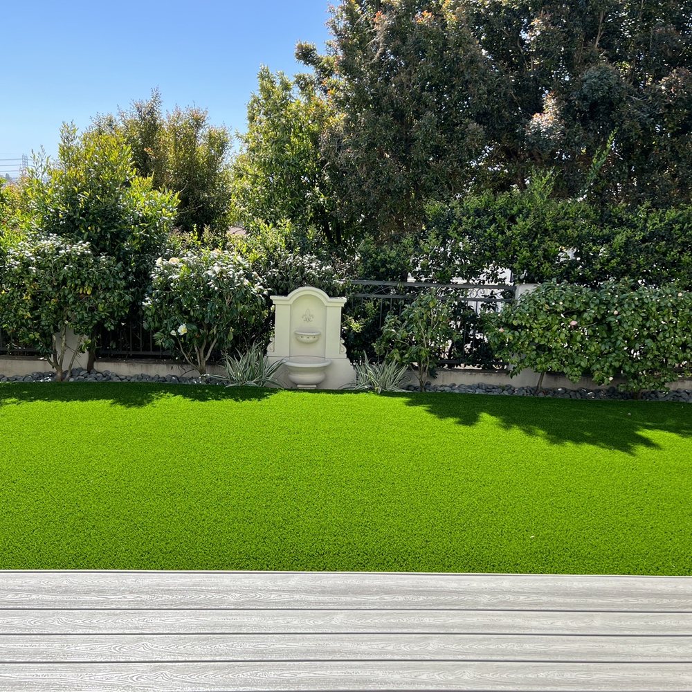 New back yard! New back yard!