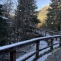 Photo of Steep Creek Trail