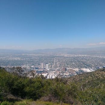 Wisdom Tree - View. - Landmarks & Historical Buildings Near Me - Los Angeles, California