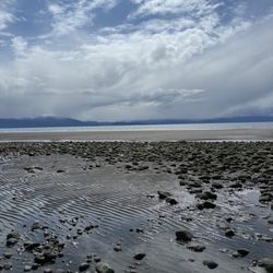 Mariner Park - Beach