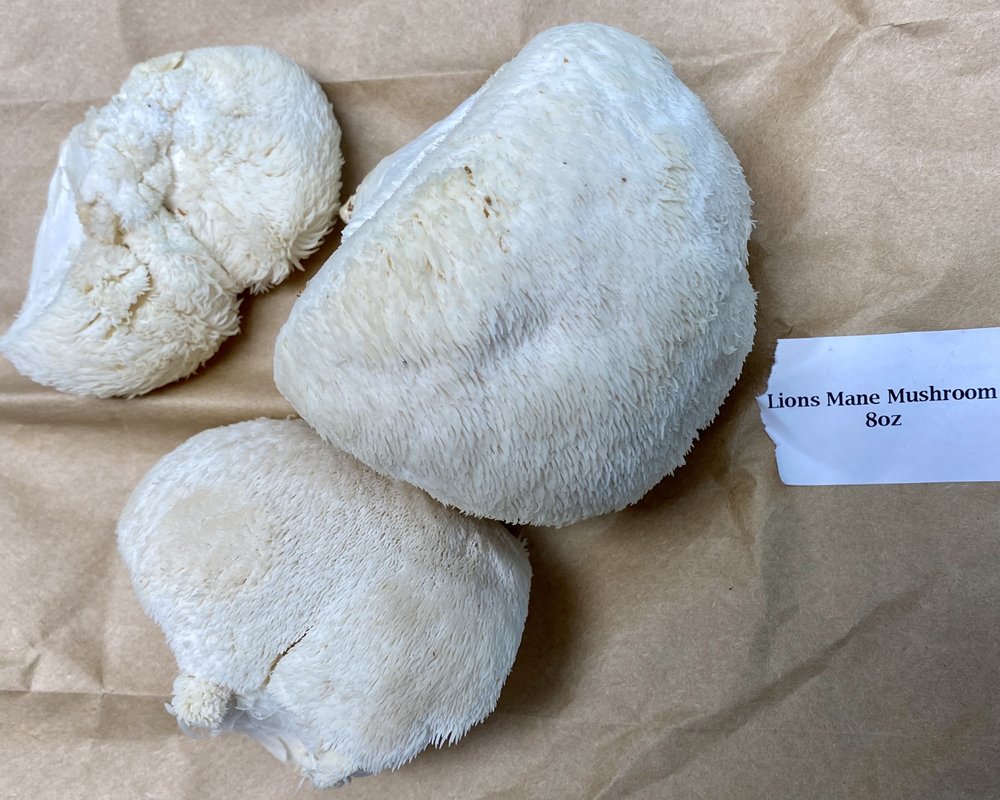 PA MUSHROOM COMPANY Updated September 2024 Clarion, Pennsylvania
