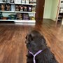 Photo of Wentworth Animal Hospital
