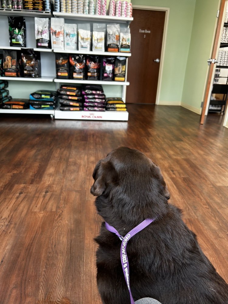 WENTWORTH ANIMAL HOSPITAL Updated October 2024 13 Photos 182