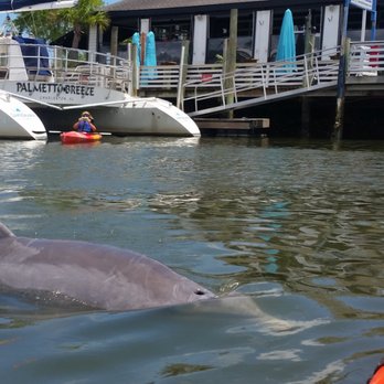 On Purpose Adventures - Party & Event Planning Near Me - Charleston, South Carolina On Purpose Adventures - Party & Event Planning Near Me - Charleston, South Carolina