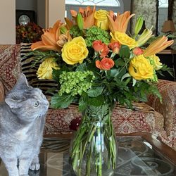 My cat liked them too!