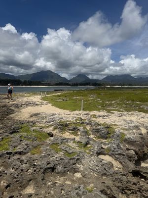 Kailua Beach Adventures by null