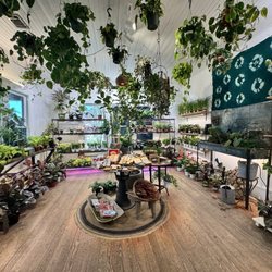 Ceremony Botanical Studio - Beautiful plant shop