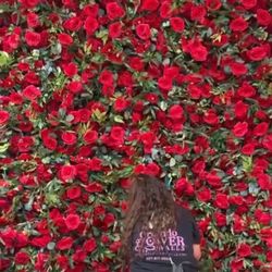 Orlando Flower Walls