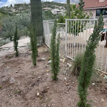 Richard M Sweeney - Gardeners Near Me - Tucson, Arizona Richard M Sweeney - Gardeners Near Me - Tucson, Arizona