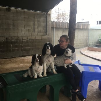 Blue Dog Ranch - Skeeter, Jackson and Missy with Rhonda at Blue Dog Ranch. - Pet Training Near Me - Burbank, California Blue Dog Ranch - Skeeter, Jackson and Missy with Rhonda at Blue Dog Ranch. - Pet Training Near Me - Burbank, California