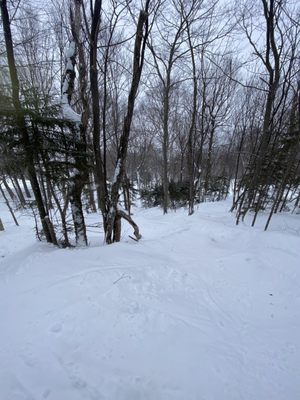 Stowe Mountain Resort by null