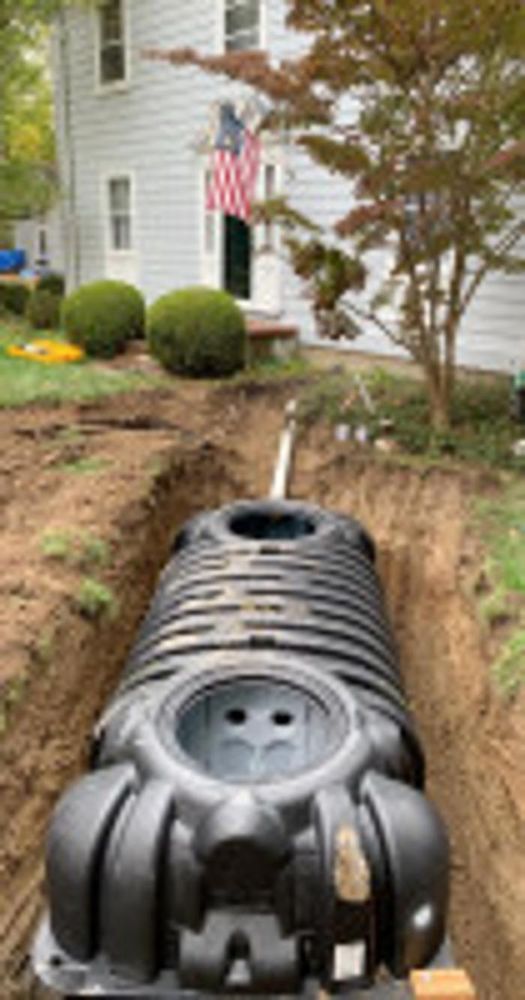 Slide of Bianca Excavating