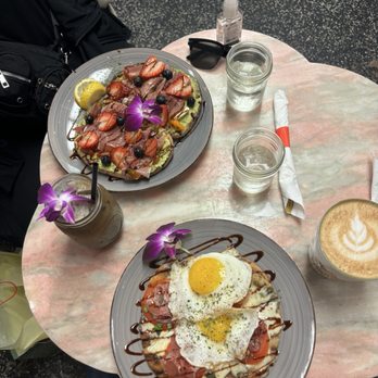 The Modern Rose - Coffee & Tea Near Me - Hollywood, Florida The Modern Rose - Coffee & Tea Near Me - Hollywood, Florida