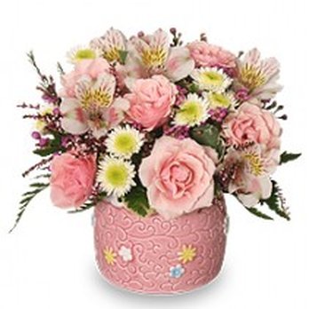 Lindas Enchanted Florist - Florists Near Me - Dunnellon, Florida Lindas Enchanted Florist - Florists Near Me - Dunnellon, Florida