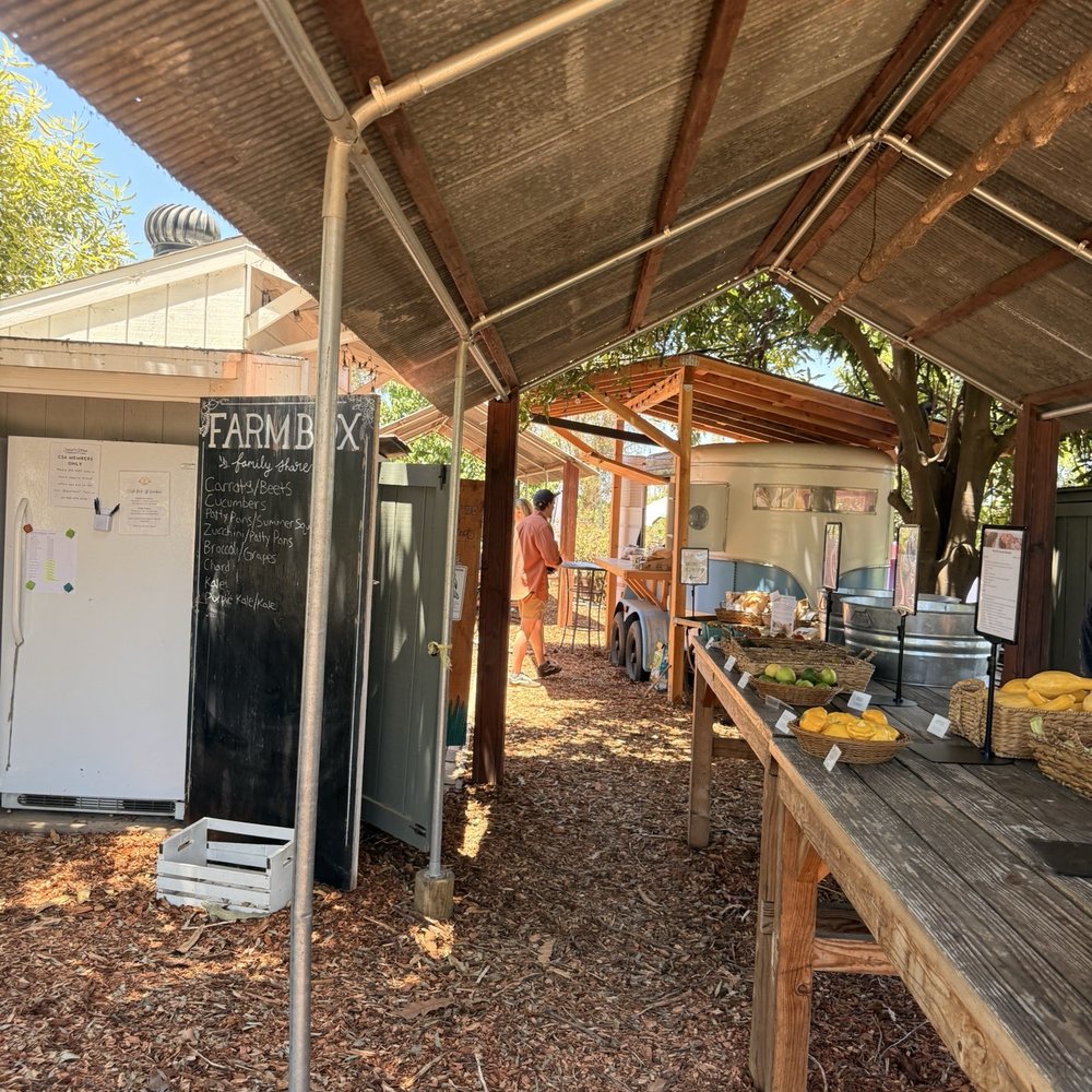 Sand n Straw Community Farm - Fridge system, produce, coffee stand - CSA Near Me - Vista, California Sand n Straw Community Farm - Fridge system, produce, coffee stand - CSA Near Me - Vista, California