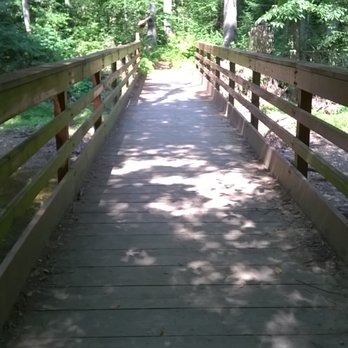 Yellowwood State Forest - one of the bridges along the Jackson Creek Trail - Parks Near Me - Nashville, Indiana Yellowwood State Forest - one of the bridges along the Jackson Creek Trail - Parks Near Me - Nashville, Indiana
